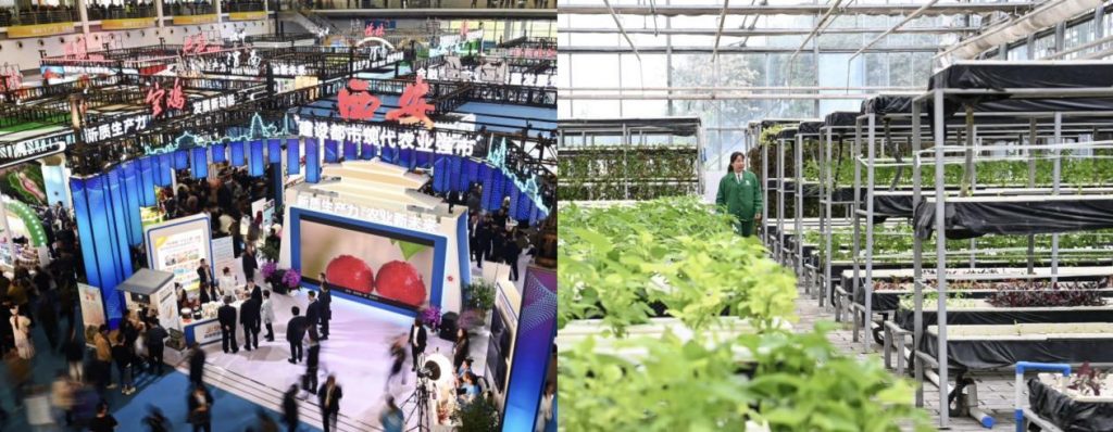 จีนจัดงานใหญ่ ดึง 50 ประเทศโชว์เทคโนโลยีการผลิตใหม่ ยกระดับเกษตรโลก